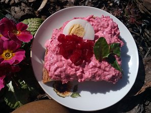 Vajíčková pomazánka s červenou řepou