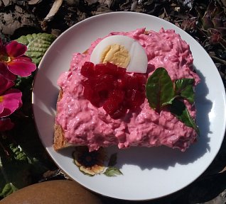 Vajíčková pomazánka s červenou řepou