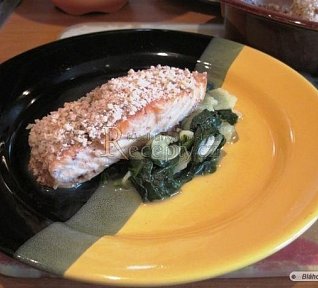 Losos na špenátové peřince