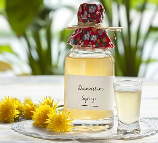 Pampeliškový sirup Pampeliškový sirup