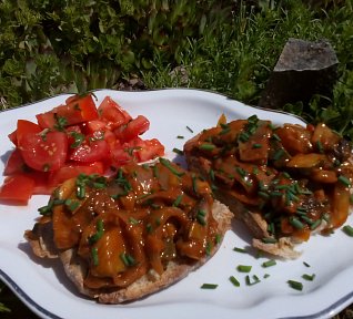 Bezmasá směs z portobella