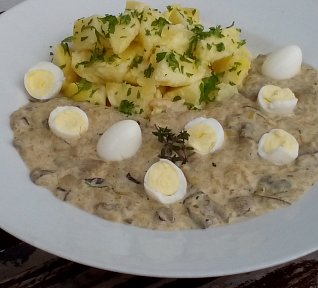 Rychlá houbová omáčka Rychlá houbová omáčka