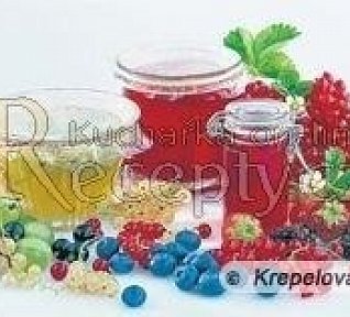 Rybízová šťáva za studena