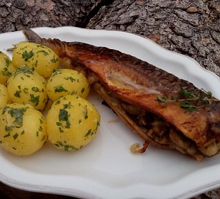 Ryba hříbky plněná, na másle smažená