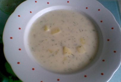 Koprová polévka - light