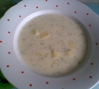 Koprová polévka - light