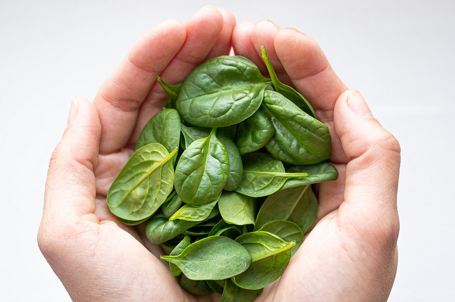 Čočkové minestrone