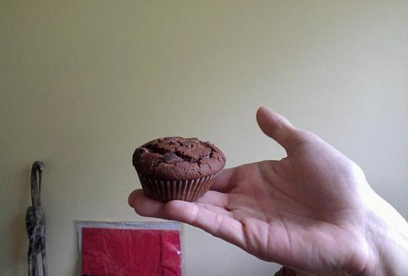 Borůvkové muffiny photo-0