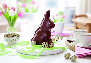 Čokoládový zajíček