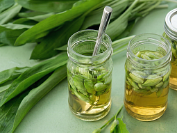 Naložené pupeny medvědího česneku